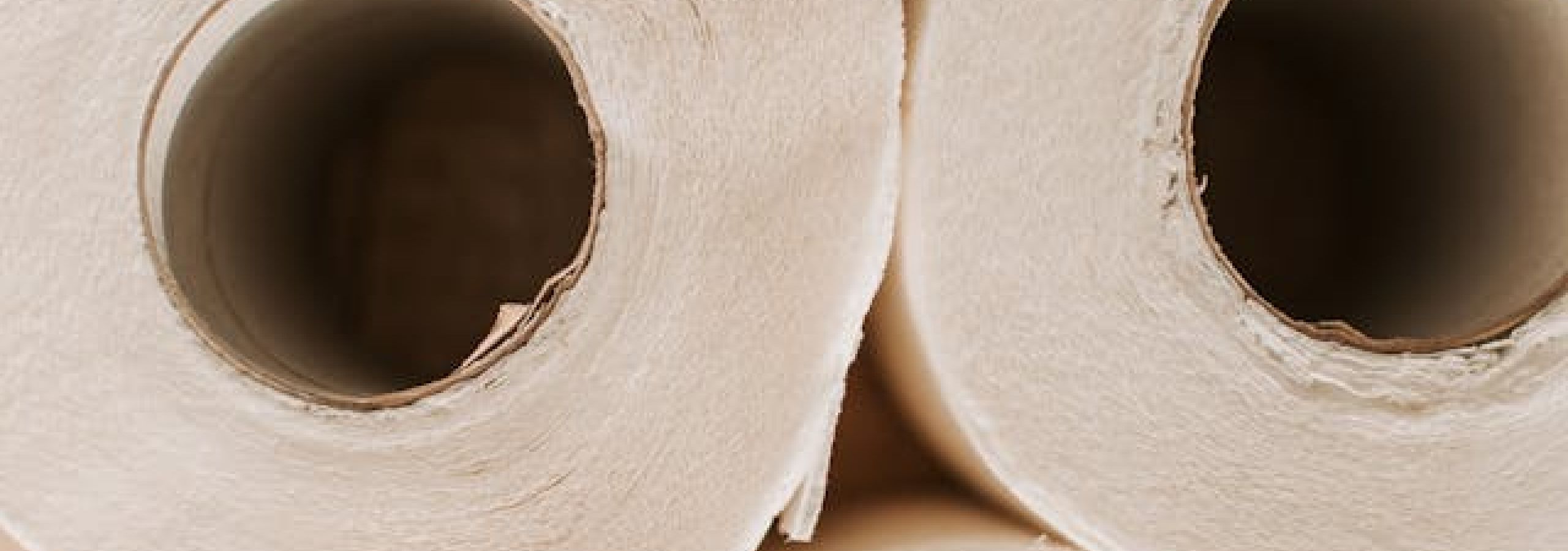 Rolls of stacked paper towels