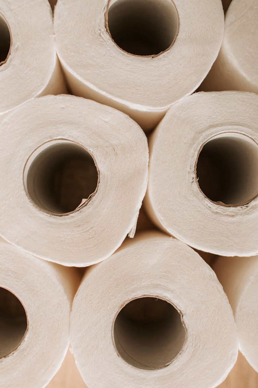 Rolls of stacked paper towels