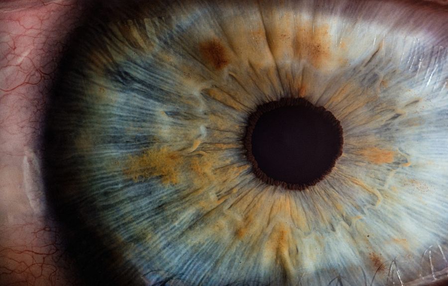 close-up of human eye