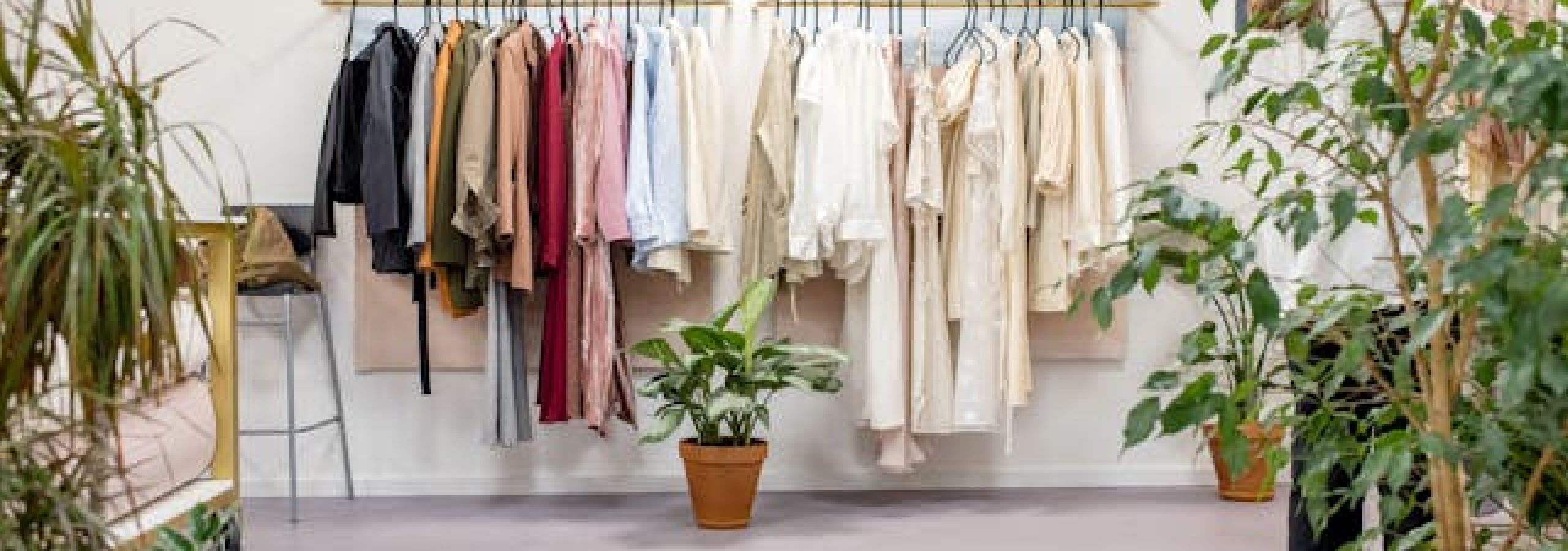 photo of fashion display