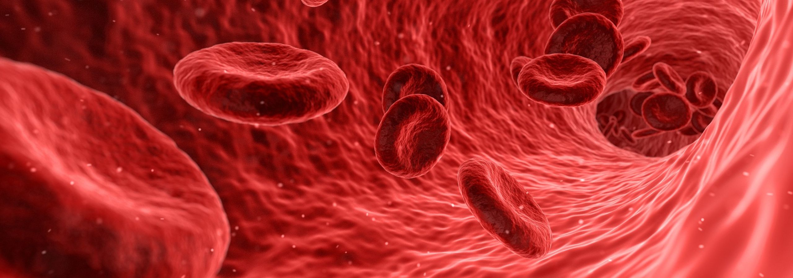blood cells