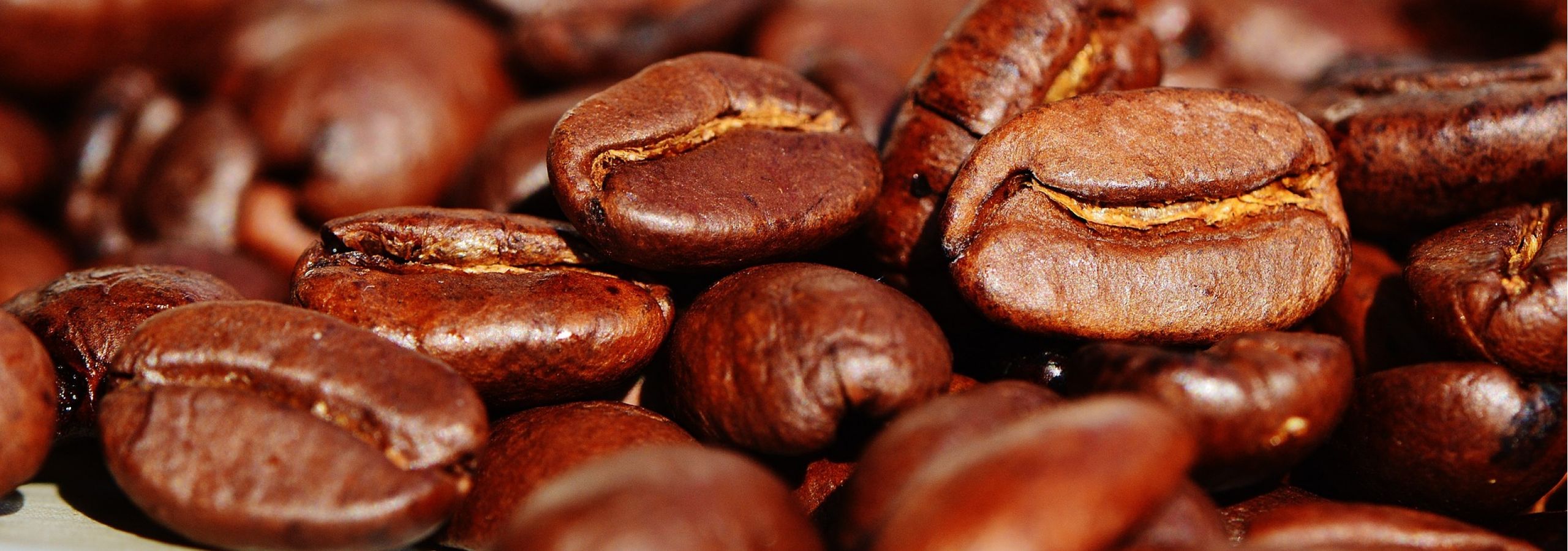 coffee beans coffee beans