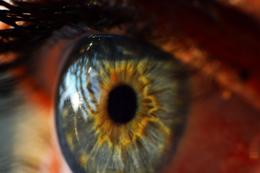 close-up of human eye