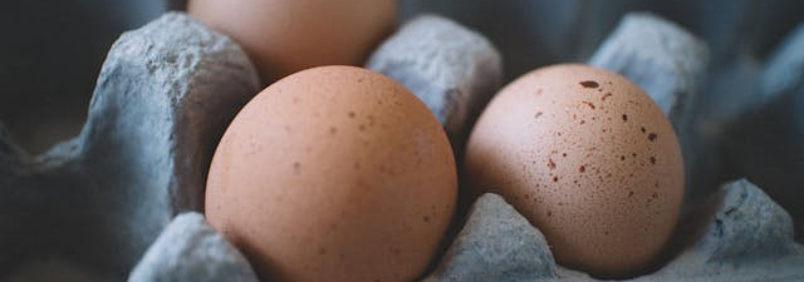 photo of eggs in a carton