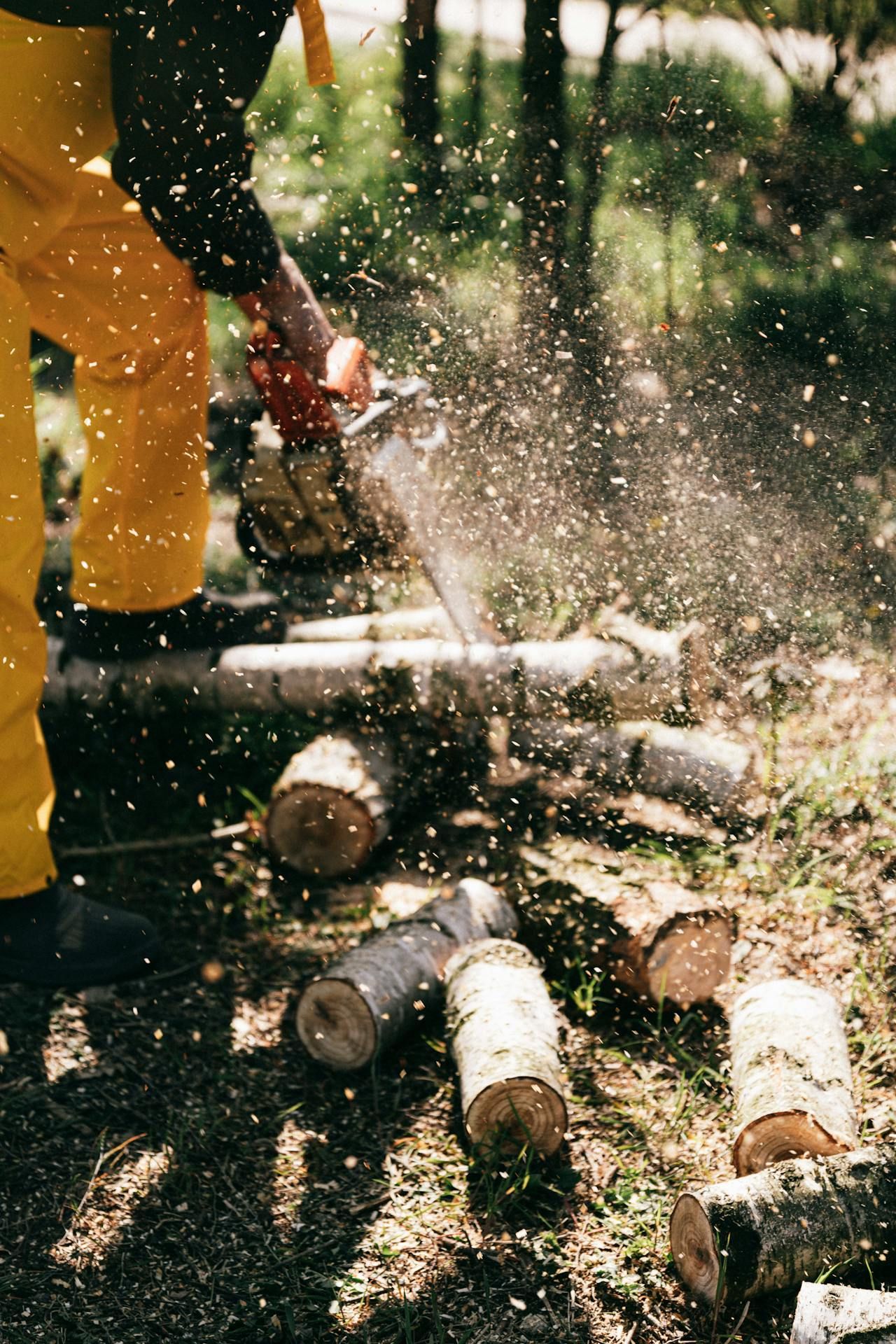 photo of a chainsaw cutting logs