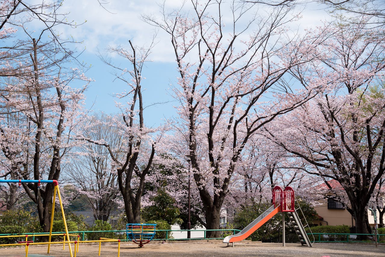 photo of playground equipment